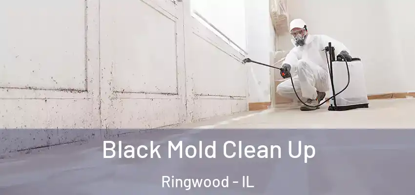  Black Mold Clean Up Ringwood - IL