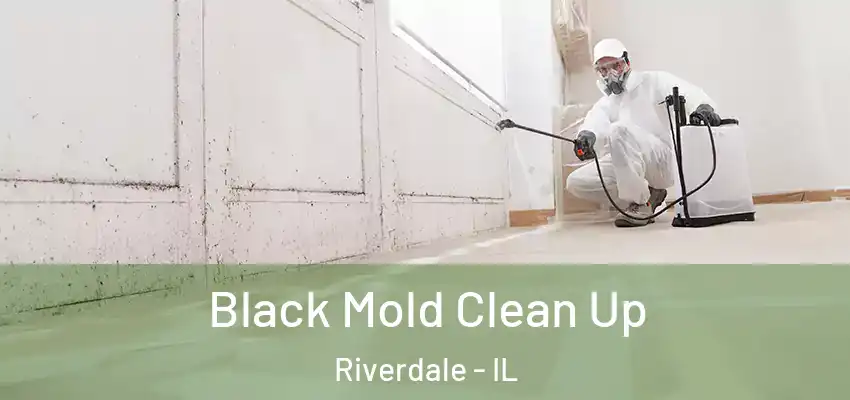  Black Mold Clean Up Riverdale - IL