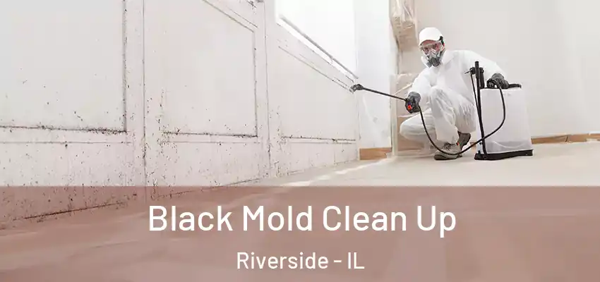  Black Mold Clean Up Riverside - IL