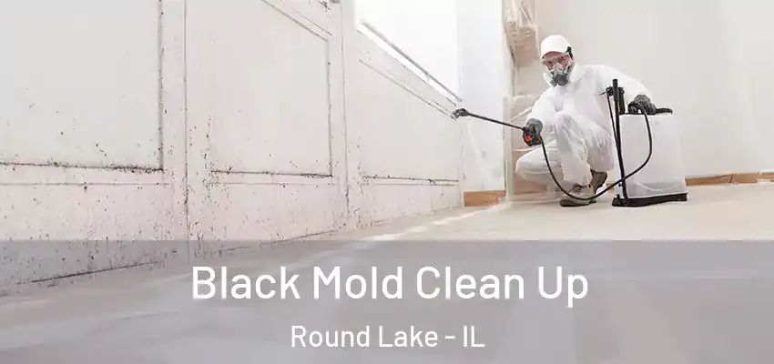  Black Mold Clean Up Round Lake - IL