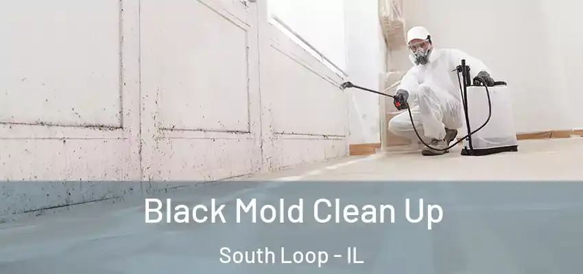  Black Mold Clean Up South Loop - IL