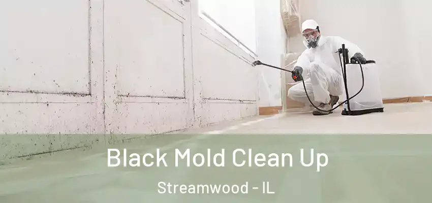  Black Mold Clean Up Streamwood - IL