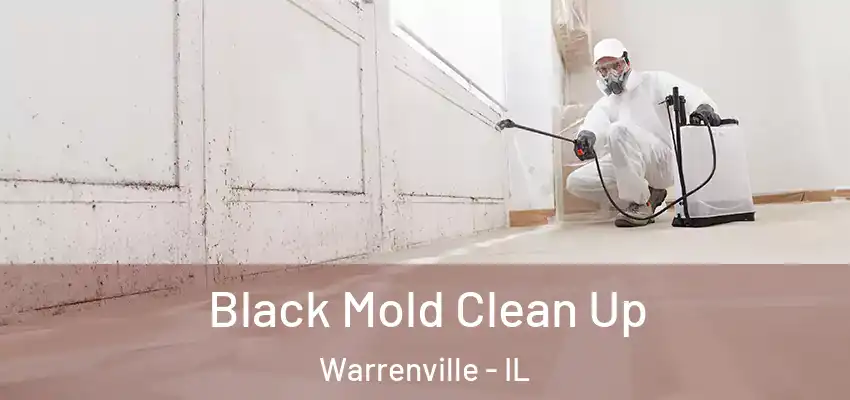  Black Mold Clean Up Warrenville - IL