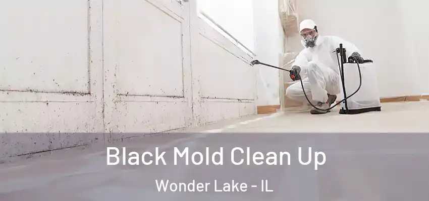  Black Mold Clean Up Wonder Lake - IL