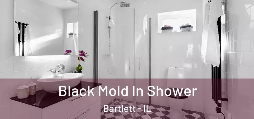 Black Mold In Shower Bartlett - IL