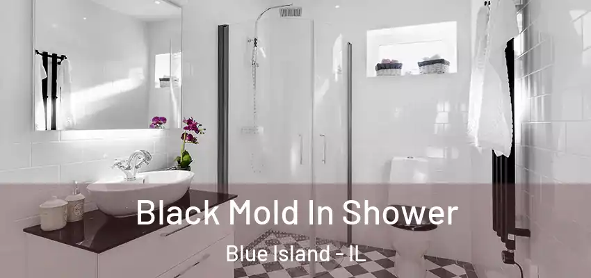 Black Mold In Shower Blue Island - IL