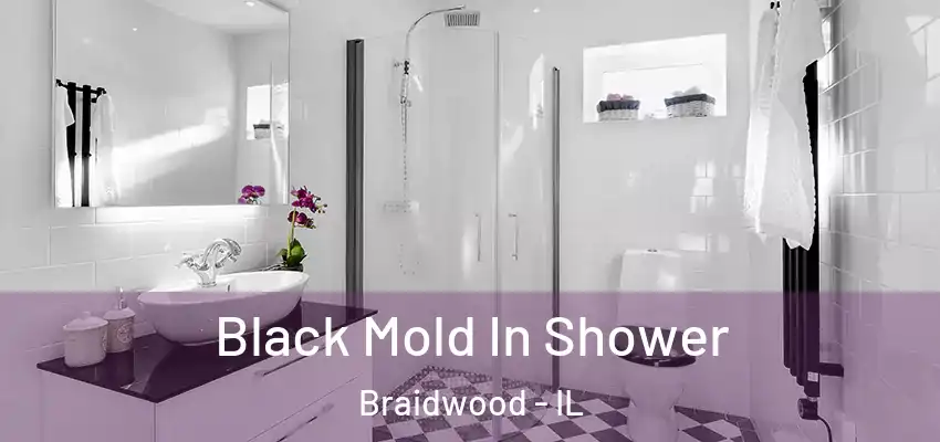 Black Mold In Shower Braidwood - IL