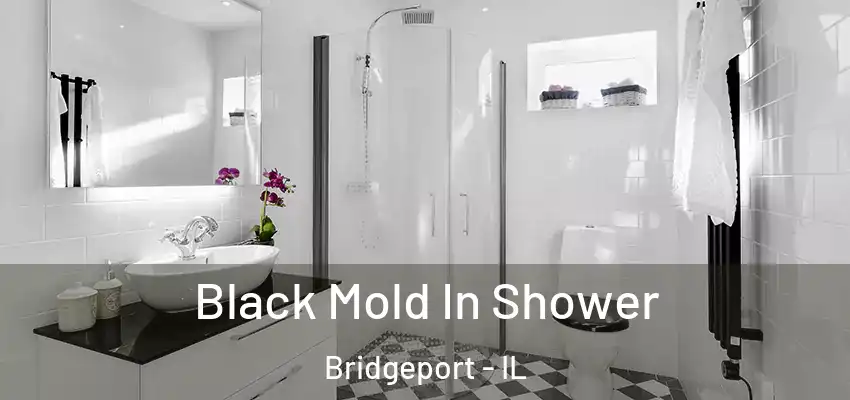Black Mold In Shower Bridgeport - IL