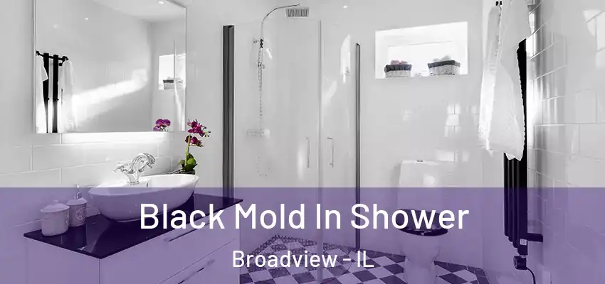  Black Mold In Shower Broadview - IL