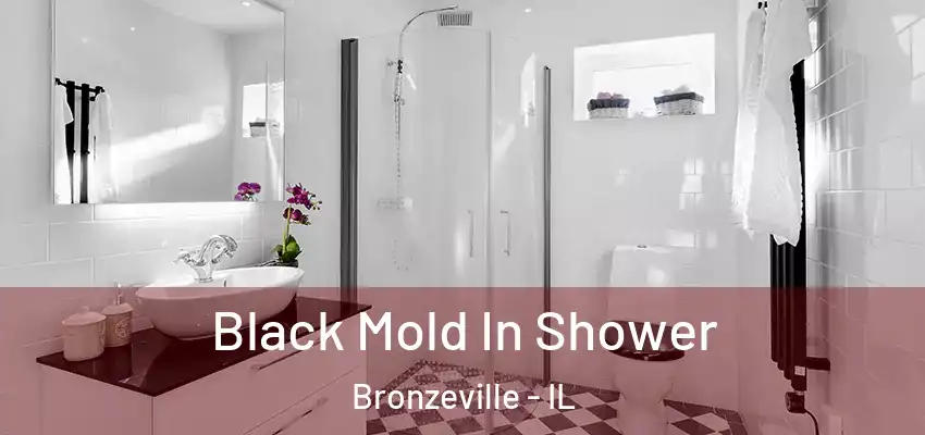 Black Mold In Shower Bronzeville - IL