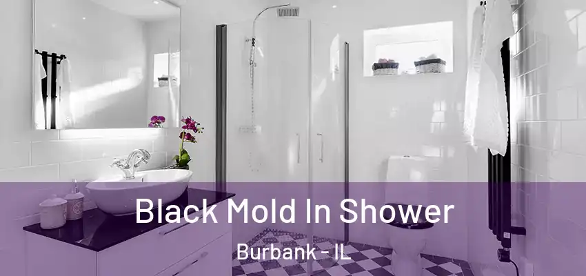 Black Mold In Shower Burbank - IL