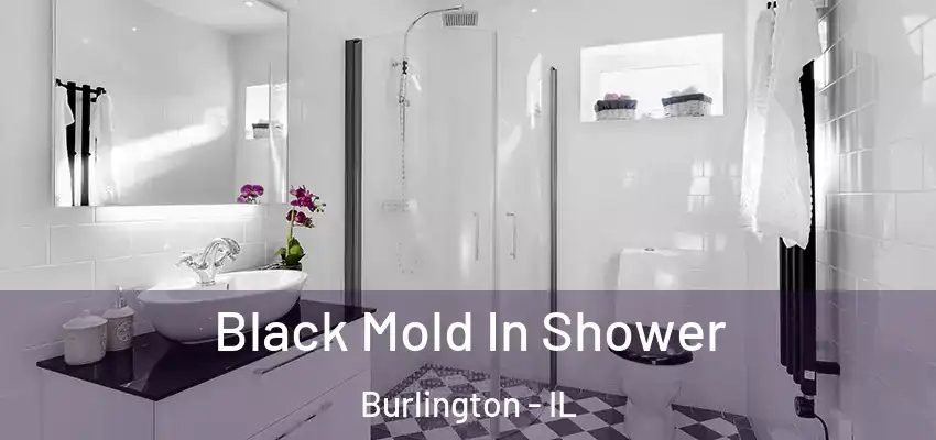 Black Mold In Shower Burlington - IL