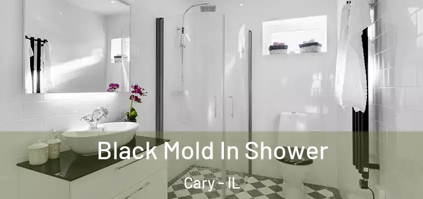  Black Mold In Shower Cary - IL