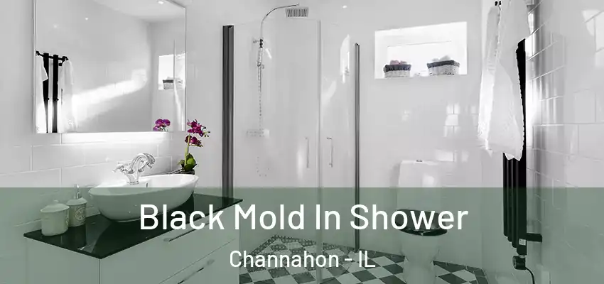 Black Mold In Shower Channahon - IL