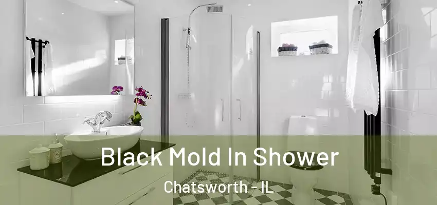  Black Mold In Shower Chatsworth - IL