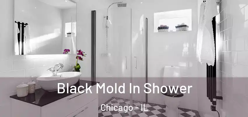  Black Mold In Shower Chicago - IL