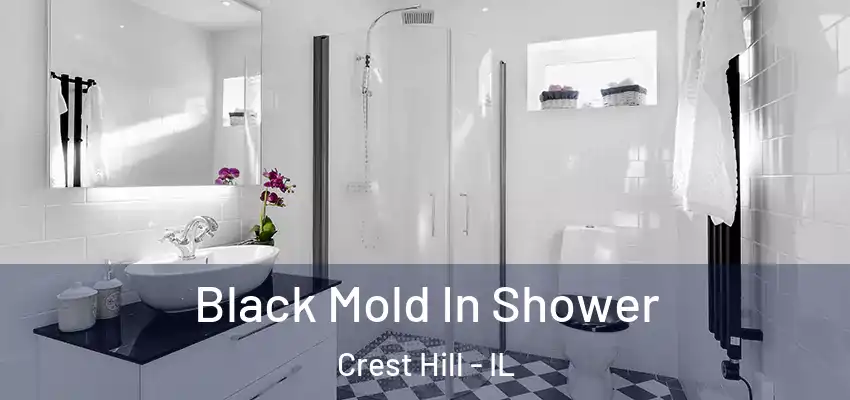  Black Mold In Shower Crest Hill - IL