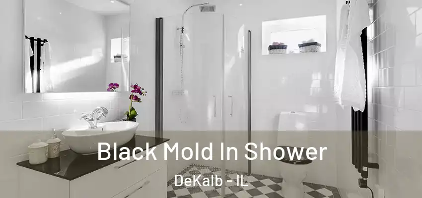Black Mold In Shower DeKalb - IL