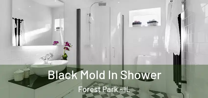  Black Mold In Shower Forest Park - IL