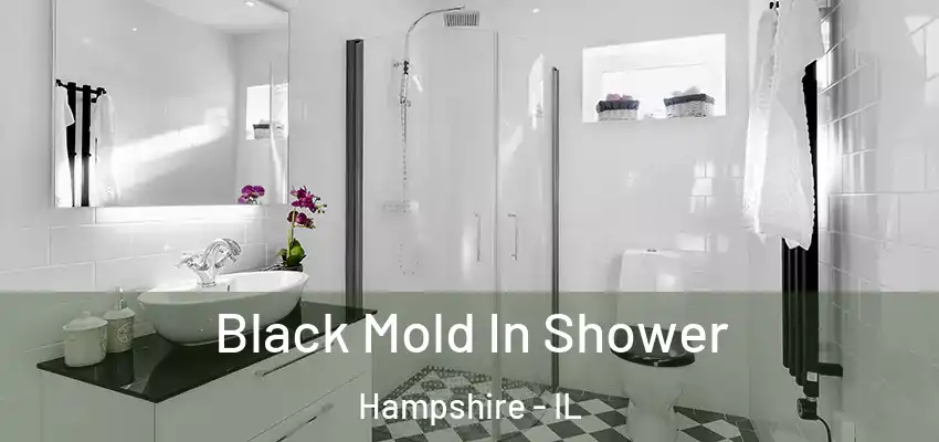  Black Mold In Shower Hampshire - IL