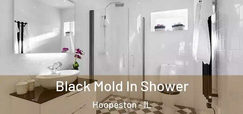  Black Mold In Shower Hoopeston - IL