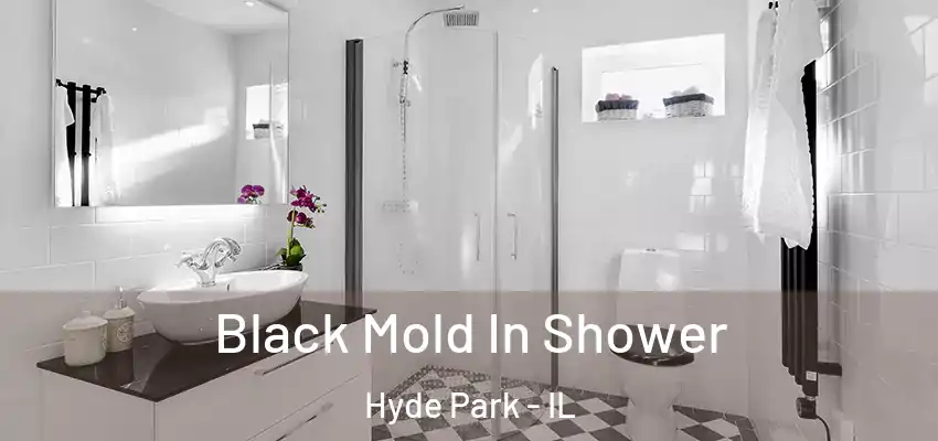  Black Mold In Shower Hyde Park - IL