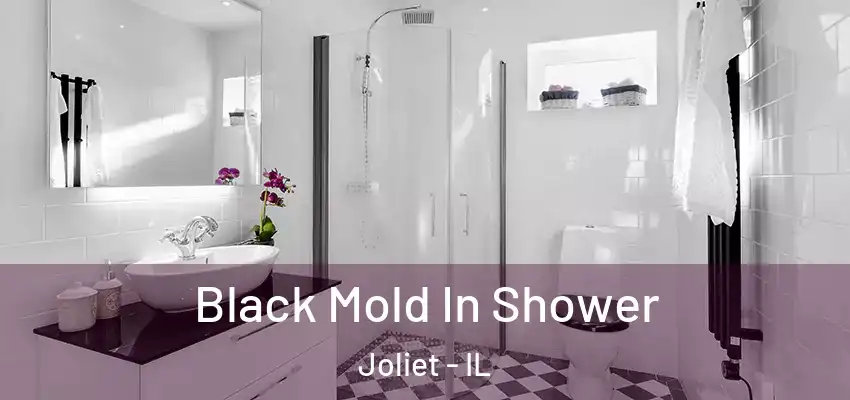  Black Mold In Shower Joliet - IL