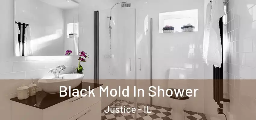  Black Mold In Shower Justice - IL
