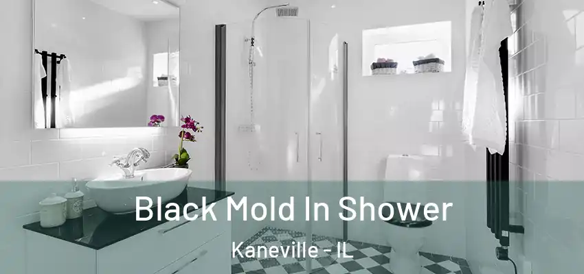  Black Mold In Shower Kaneville - IL