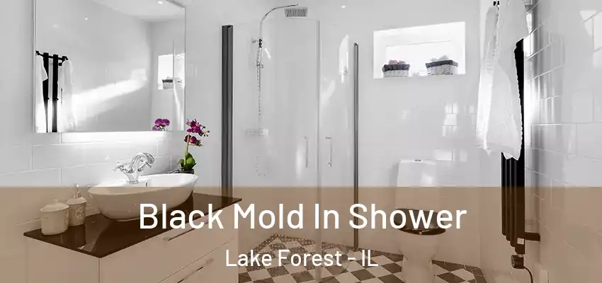 Black Mold In Shower Lake Forest - IL