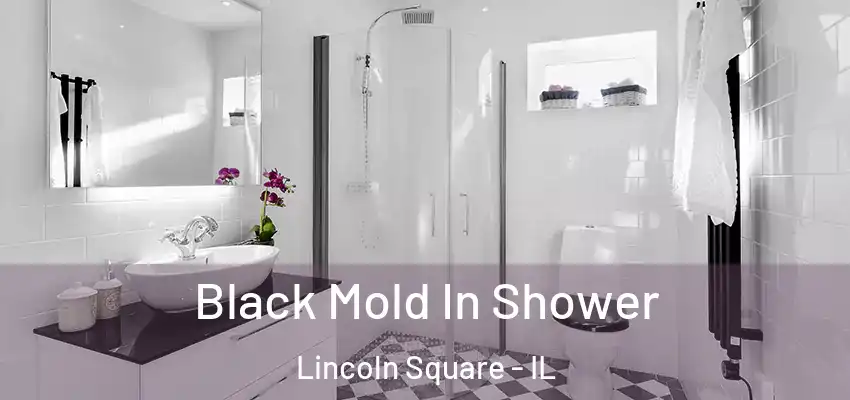  Black Mold In Shower Lincoln Square - IL