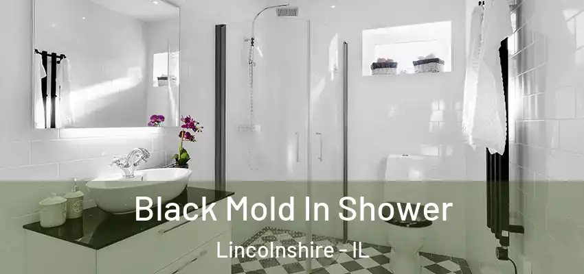  Black Mold In Shower Lincolnshire - IL