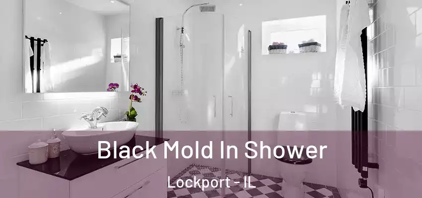  Black Mold In Shower Lockport - IL