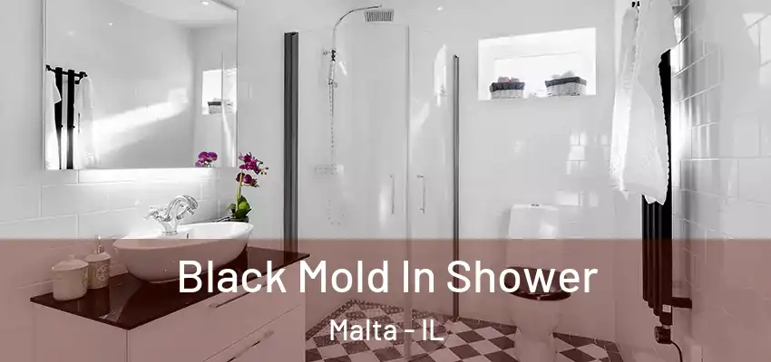  Black Mold In Shower Malta - IL