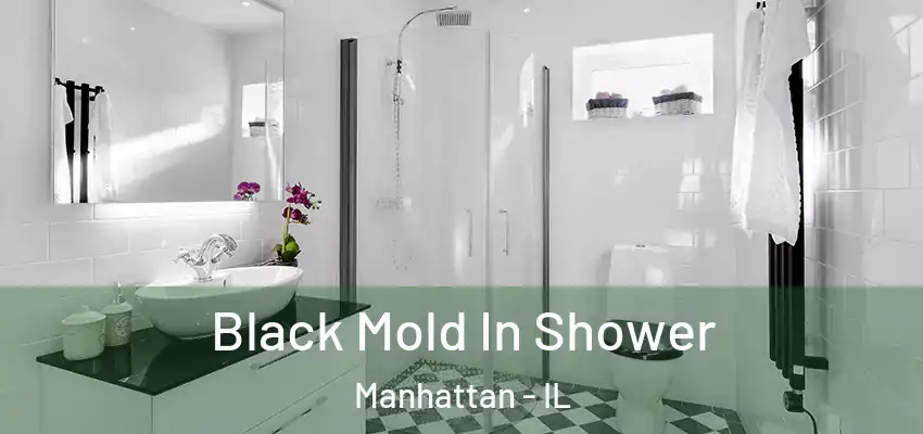  Black Mold In Shower Manhattan - IL