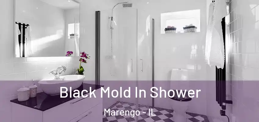 Black Mold In Shower Marengo - IL
