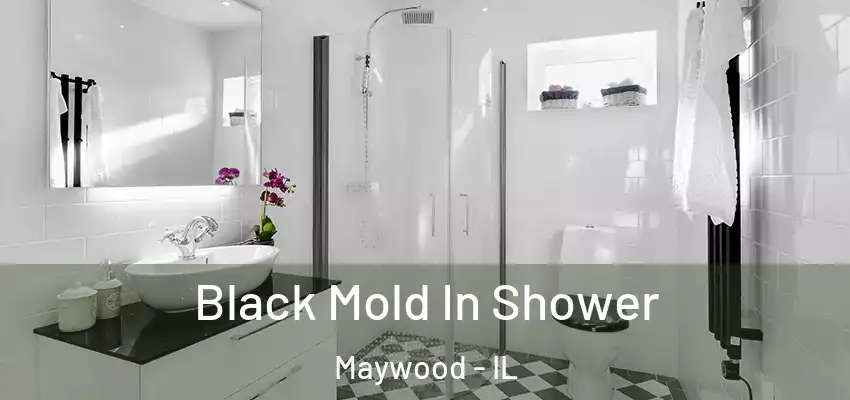  Black Mold In Shower Maywood - IL