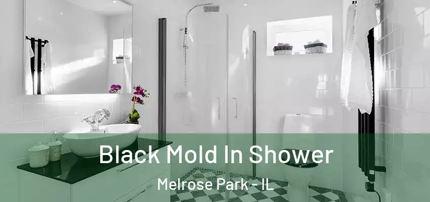  Black Mold In Shower Melrose Park - IL