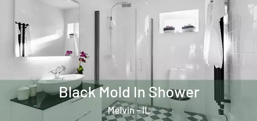  Black Mold In Shower Melvin - IL