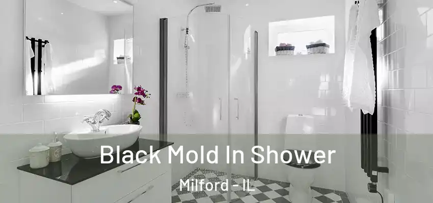 Black Mold In Shower Milford - IL