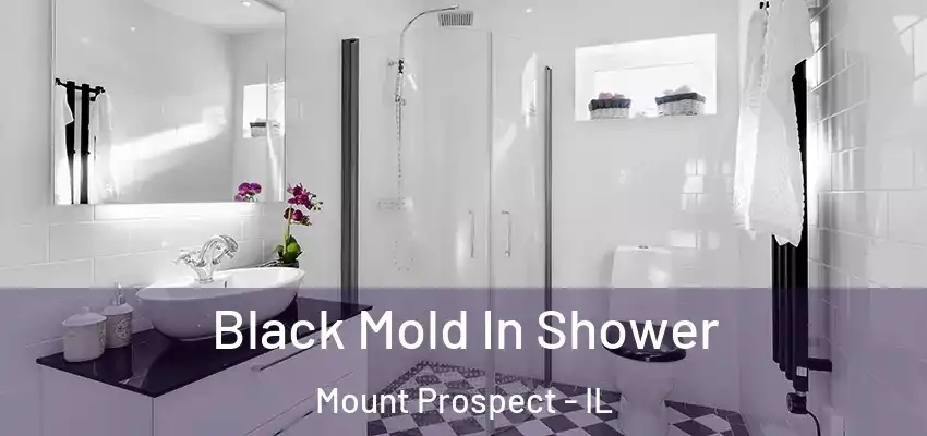  Black Mold In Shower Mount Prospect - IL