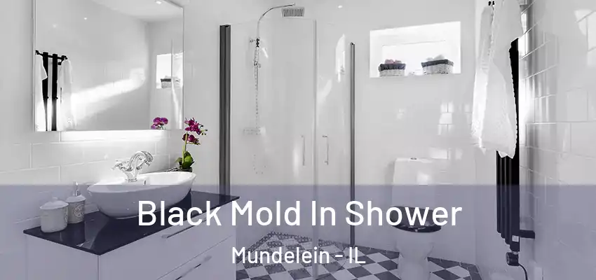  Black Mold In Shower Mundelein - IL