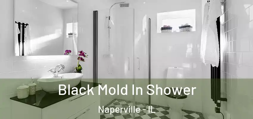  Black Mold In Shower Naperville - IL