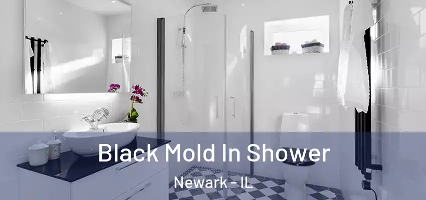  Black Mold In Shower Newark - IL