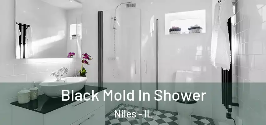  Black Mold In Shower Niles - IL
