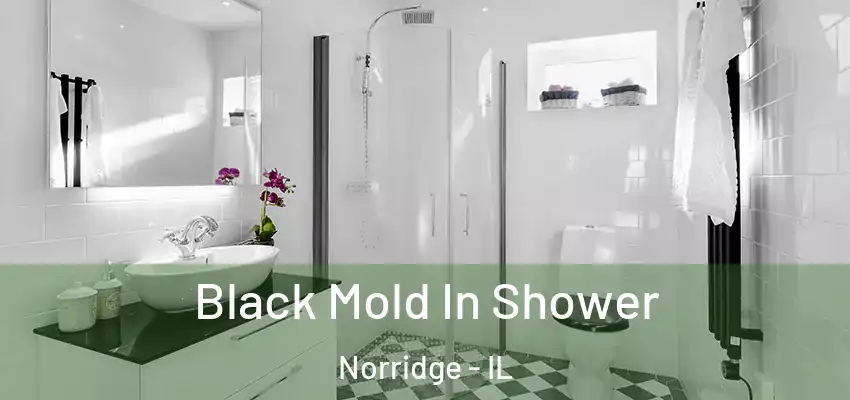  Black Mold In Shower Norridge - IL