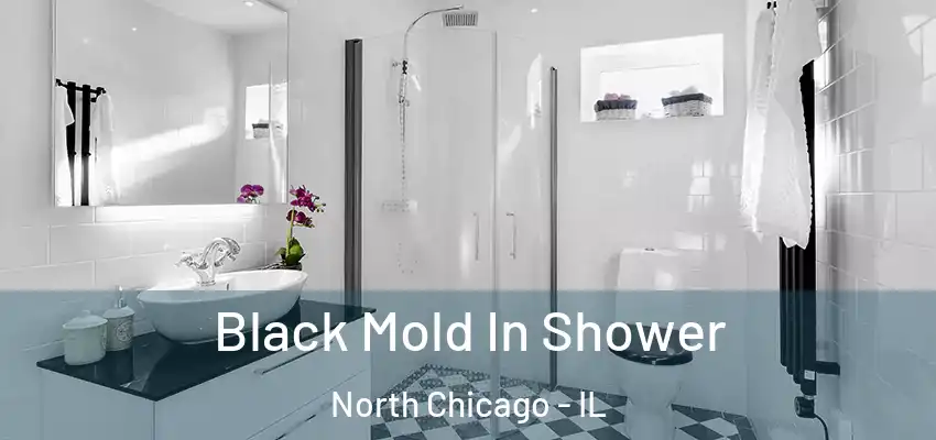  Black Mold In Shower North Chicago - IL