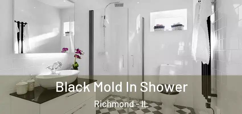 Black Mold In Shower Richmond - IL
