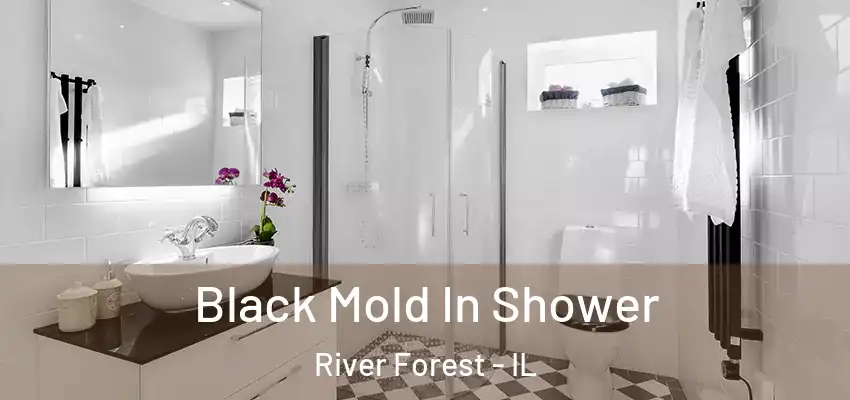  Black Mold In Shower River Forest - IL