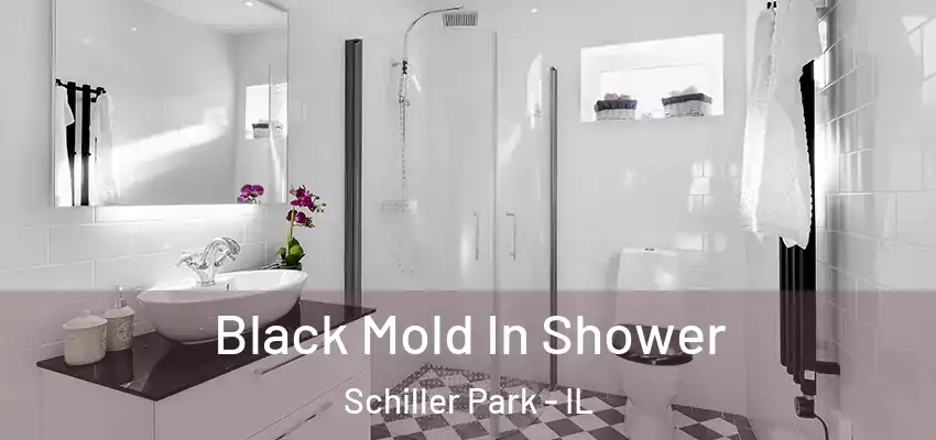  Black Mold In Shower Schiller Park - IL